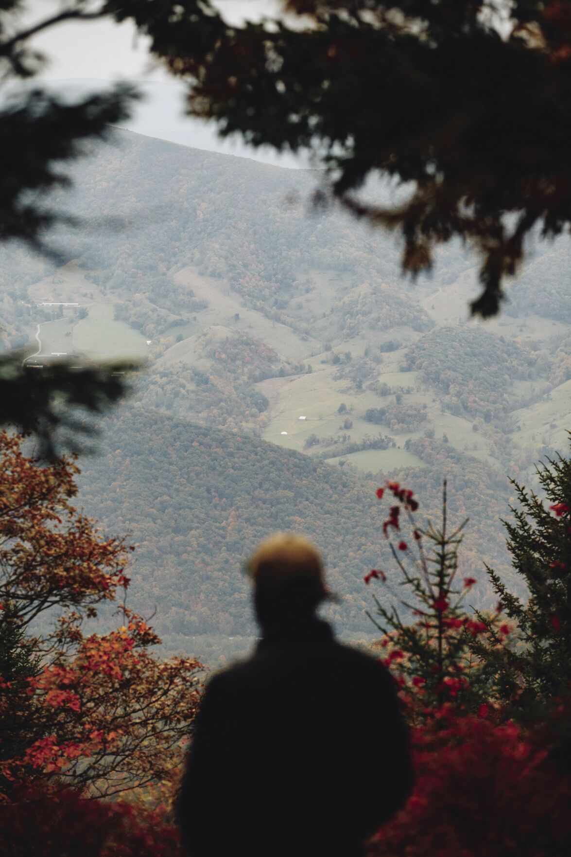 Slade_FallFoliage1.jpg